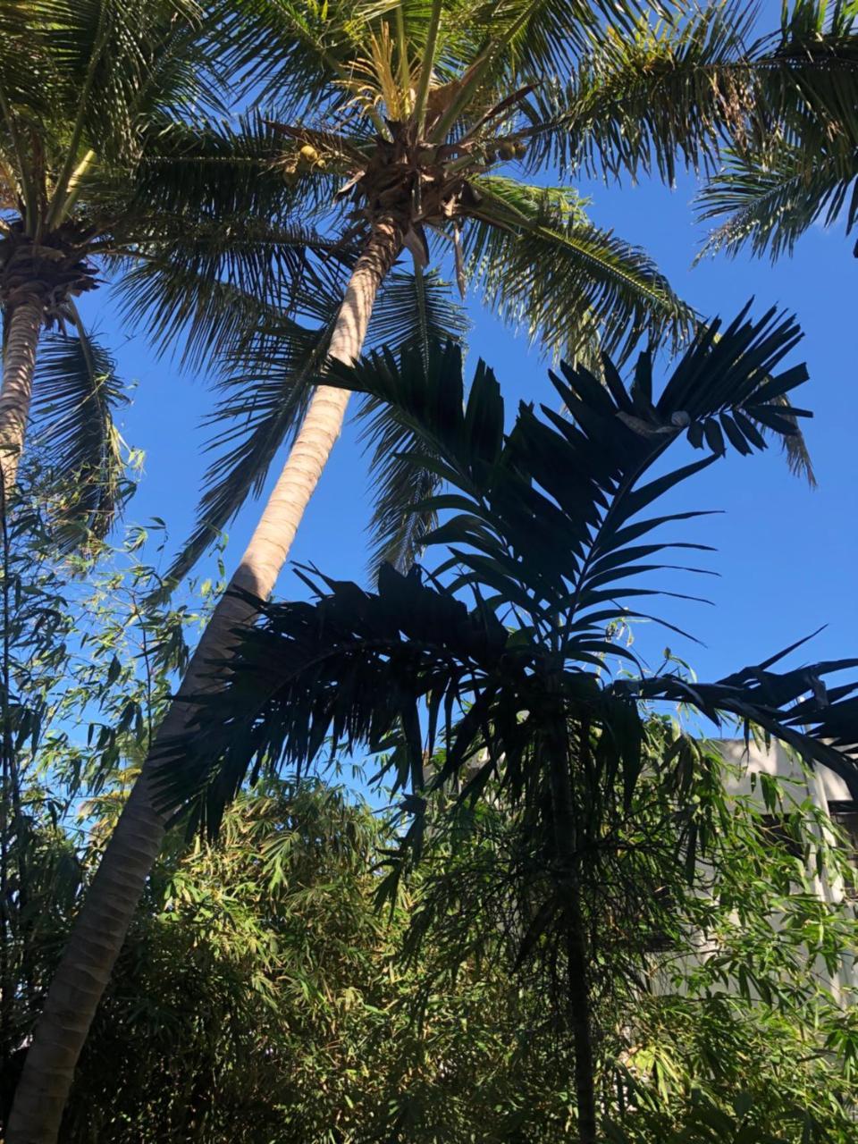 Villa Florencia Bavaro Punta Cana Eksteriør billede